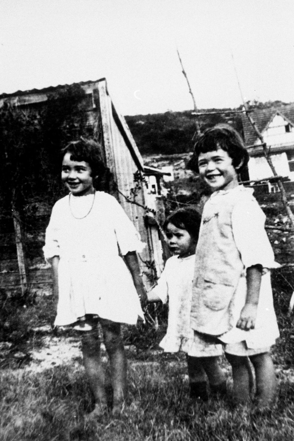 Wandella Road, Allambie