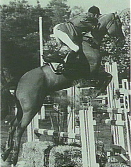 Show jumping, Waringah Mall