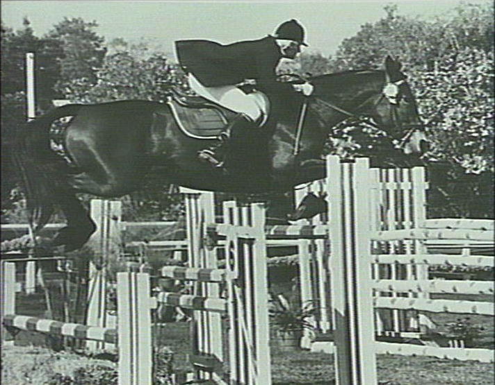 Show jumping, Warringah Mall