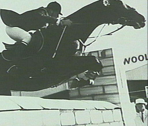 Show jumping, Warringah Mall