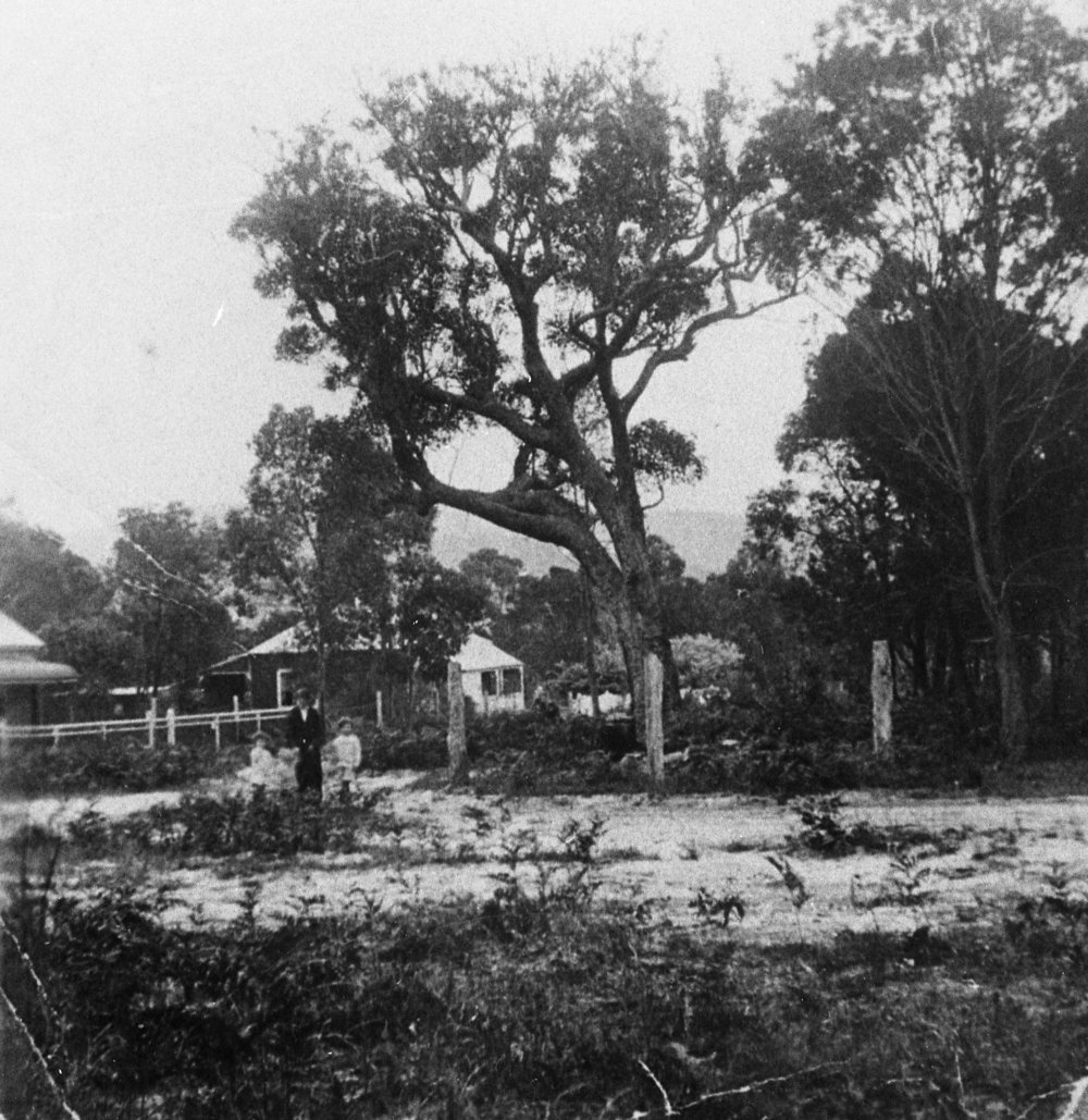 Maclean family home at Corrie Road, North Manly