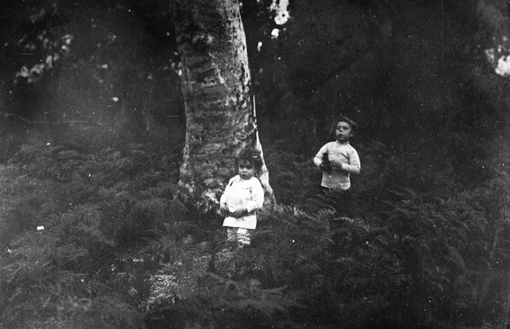 Maclean children in Brookvale