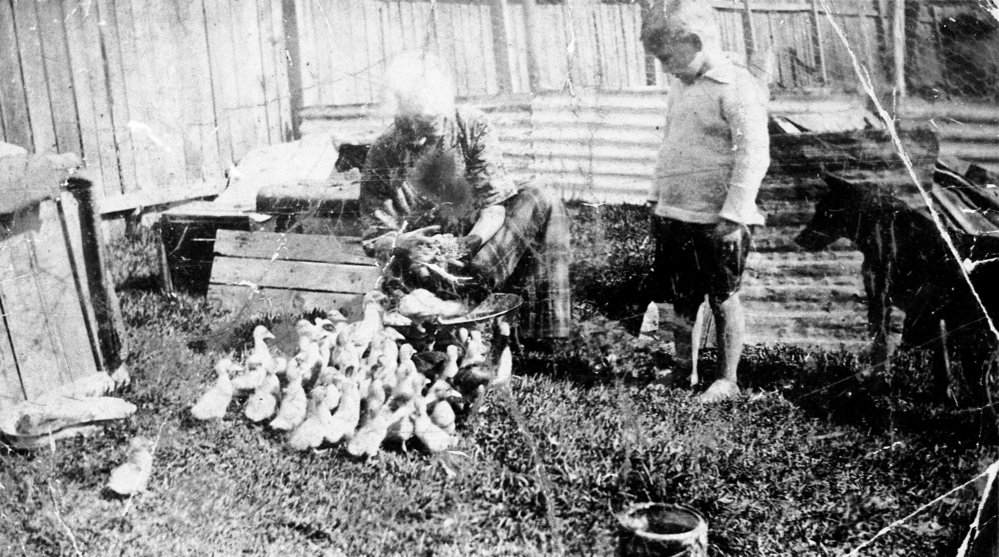 Mary Moran's farm on Winbourne Road, Brookvale