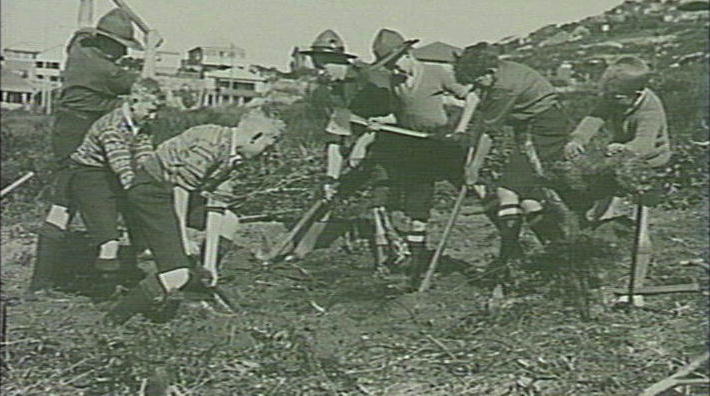 Scouts helping to clear site for the construction of Stewart House, Curl Curl