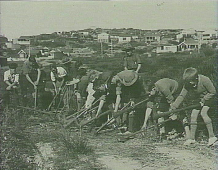 Scouts helping to clear site for the construction of Stewart House, Curl Curl
