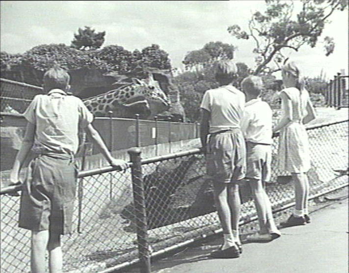 Stewart House children visit Taronga zoo