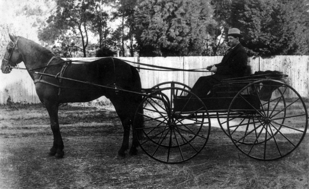 Harry Campbell Horse and Cart Terrey Hills