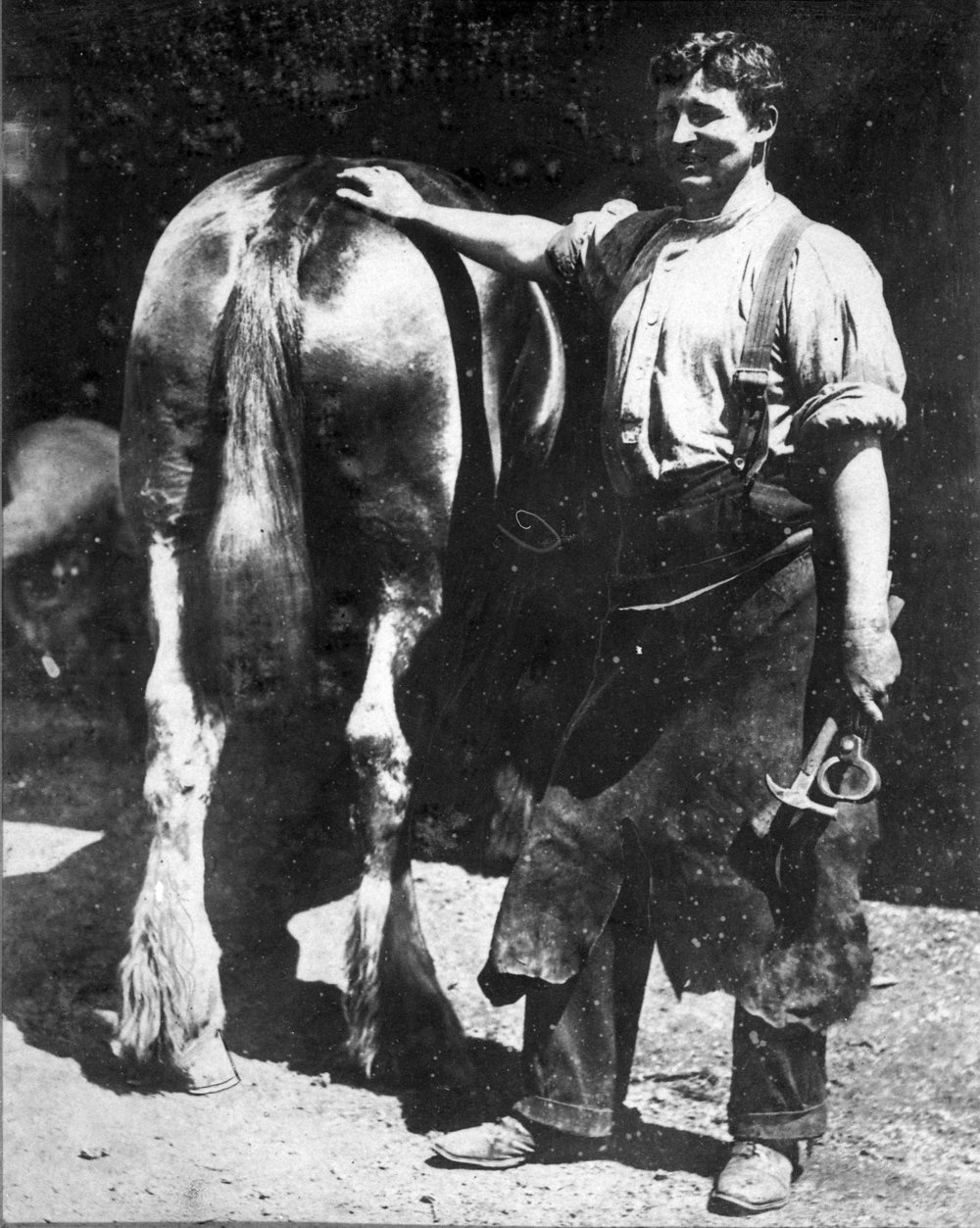 Man and horse at Harry Campbell &amp; Co Blacksmiths Kallaroo Road Terry Hills