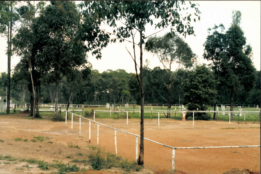 Forest Hills Pony Club, Booralie Road, Duffys Forest