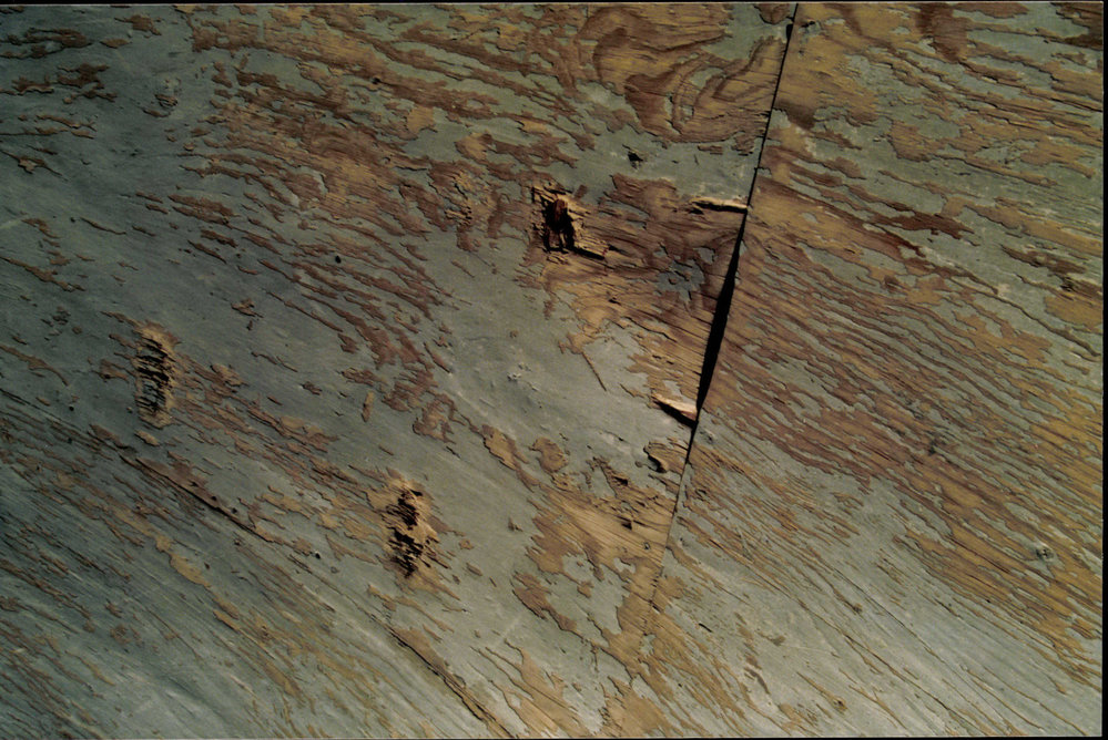 Skateboard ramp, Kitchener Park, Mona Vale