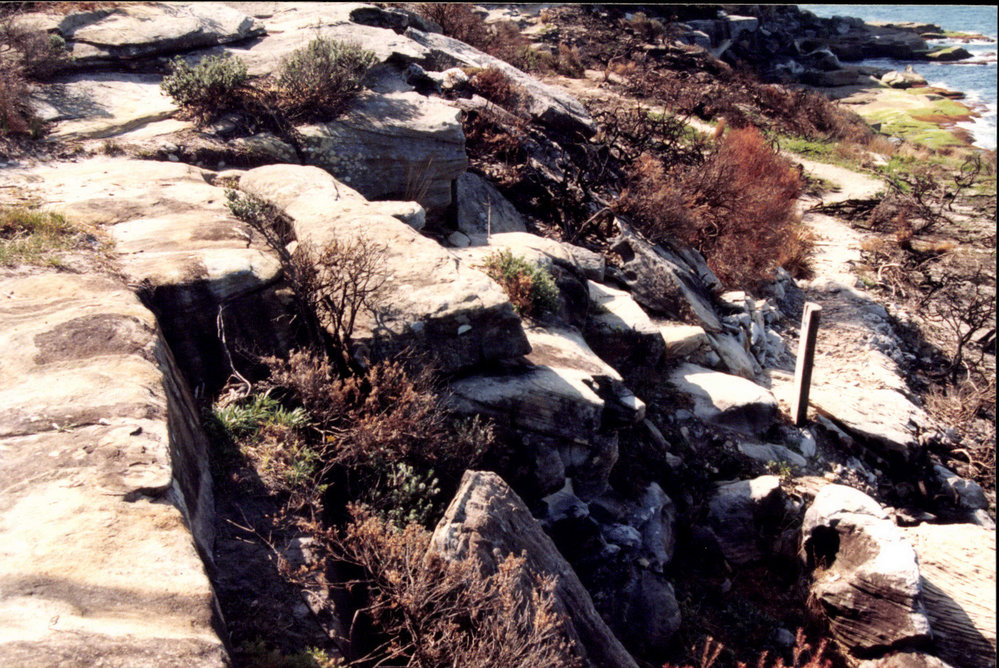Dee Why escarpment coastal walkway