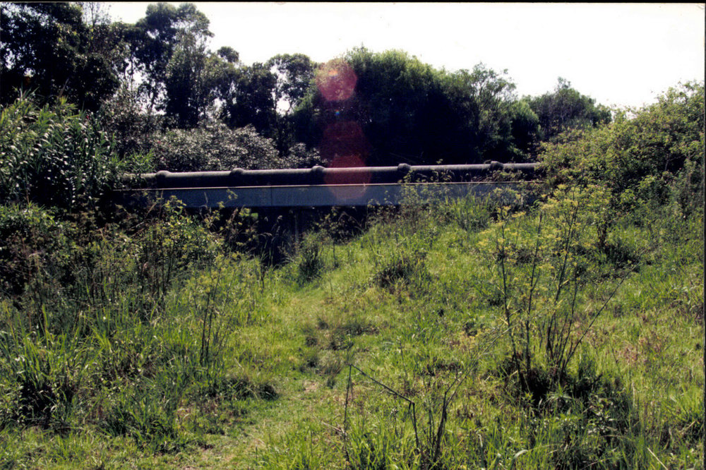 Dee Why cycle way before construction