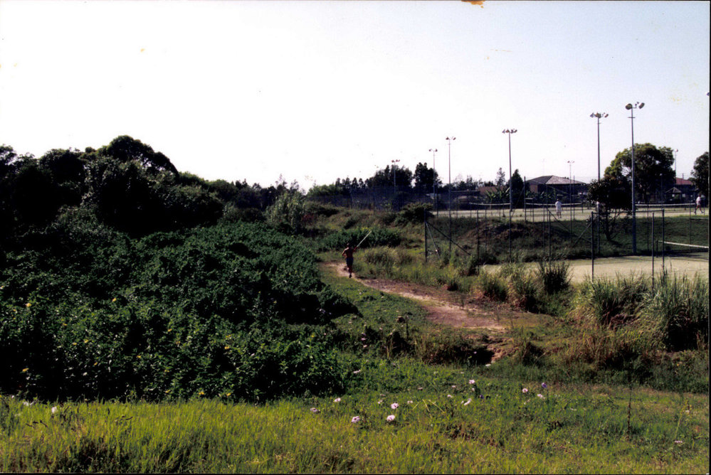 Dee Why cycle way before construction