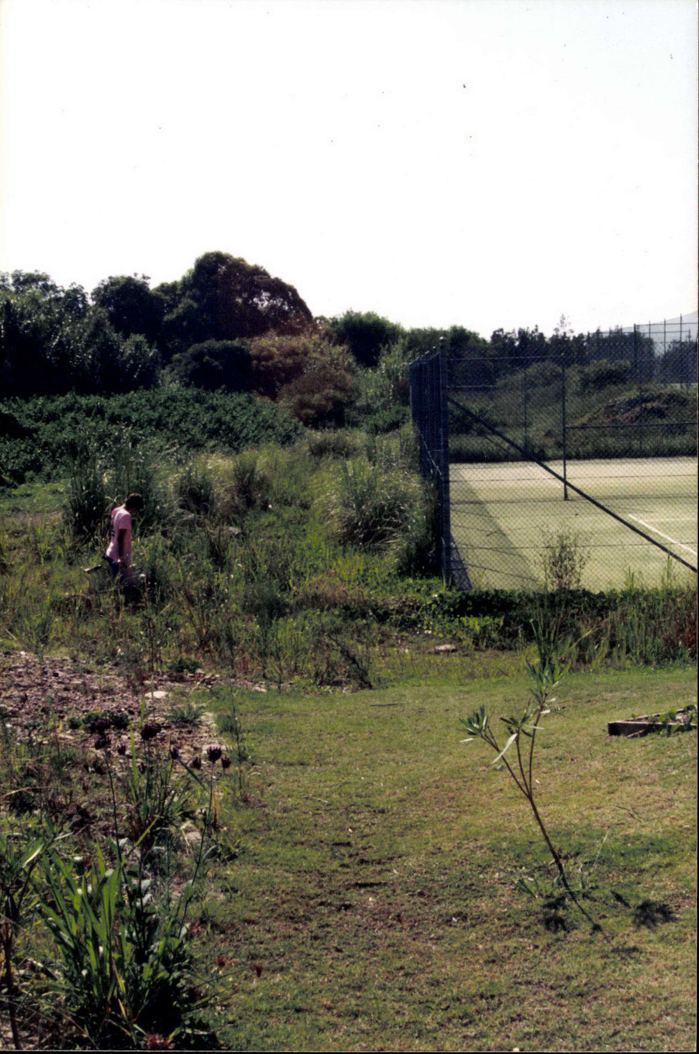 Dee Why cycle way before construction