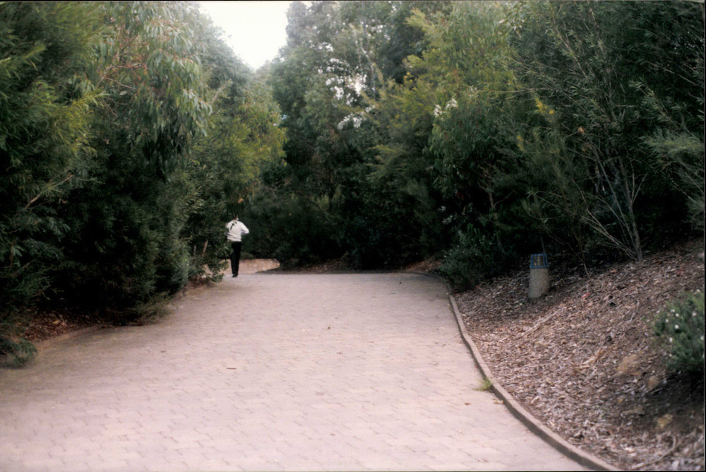 Pathway to Warringah Aquatic Centre, Allambie Heights