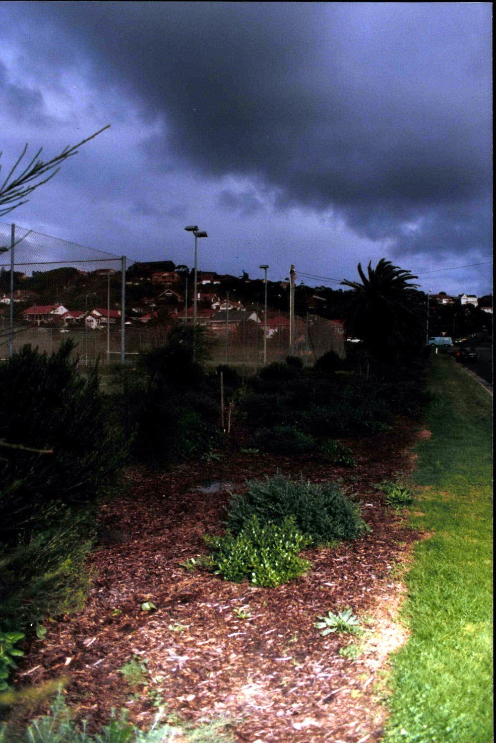 Griffith Park and tennis Courts, Collaroy
