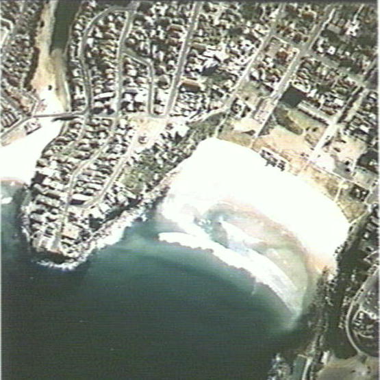 Aerial view of Freshwater Beach and Harbord