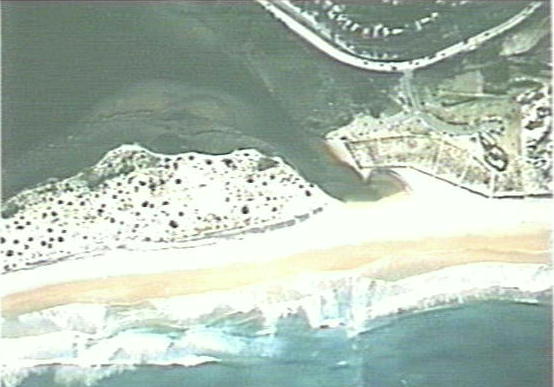 Aerial view of Long Reef Beach