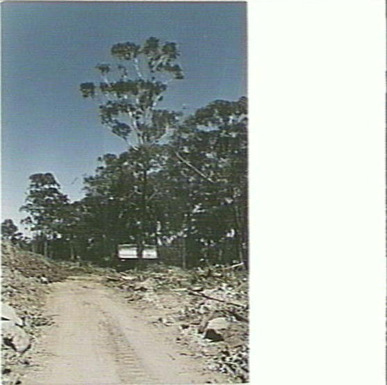 Excavation work on Davidson High School