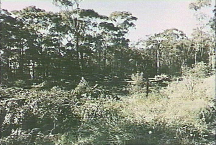 Excavation work on Davidson High School