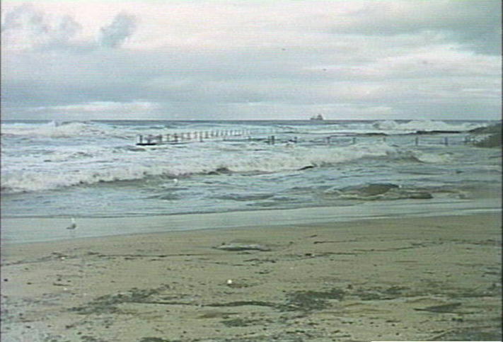Curl Curl Beach Rock Pool