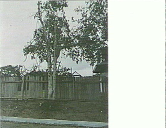 Lagoon Street, Narrabeen