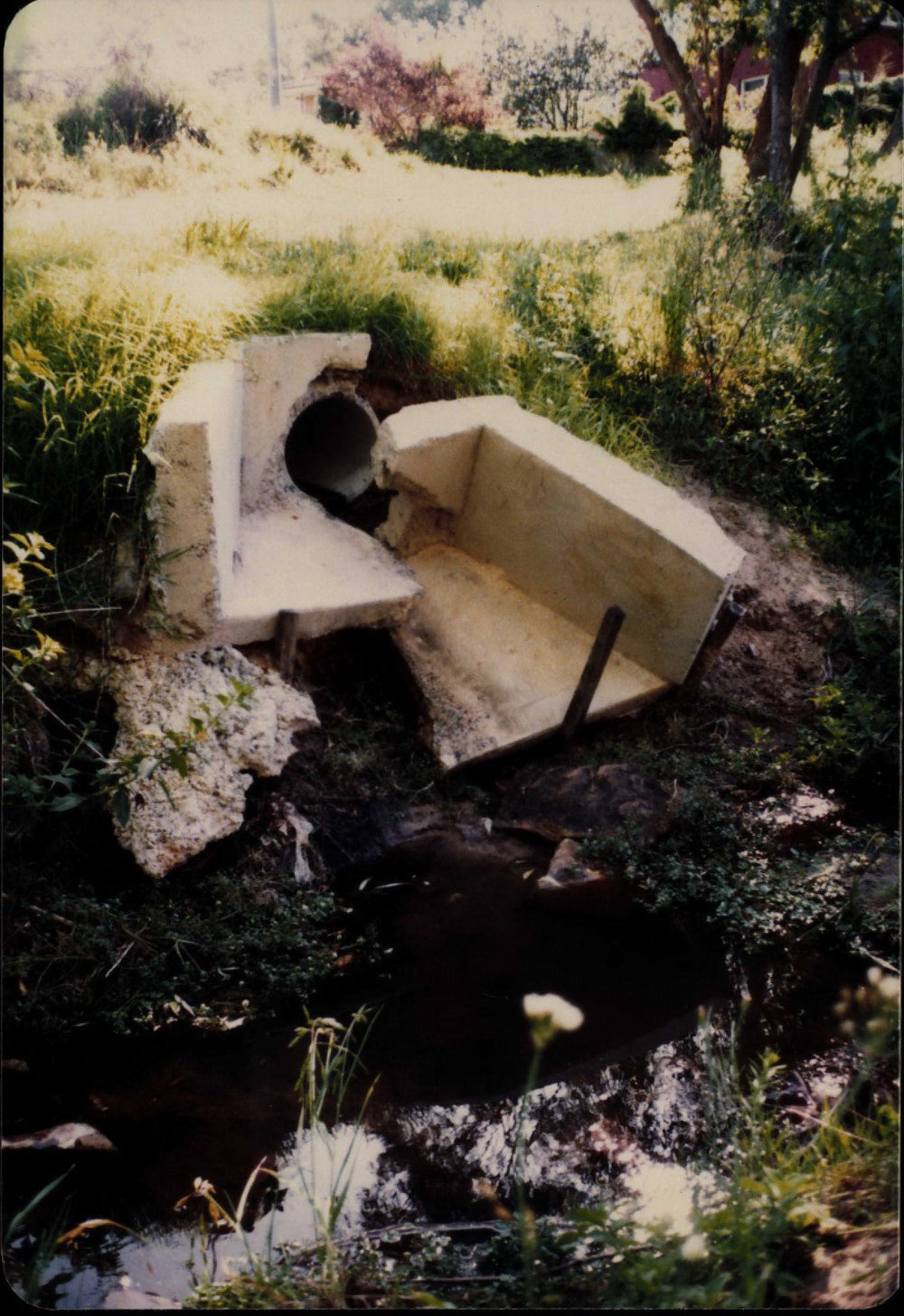 Wandella Reserve drainage, Allambie 