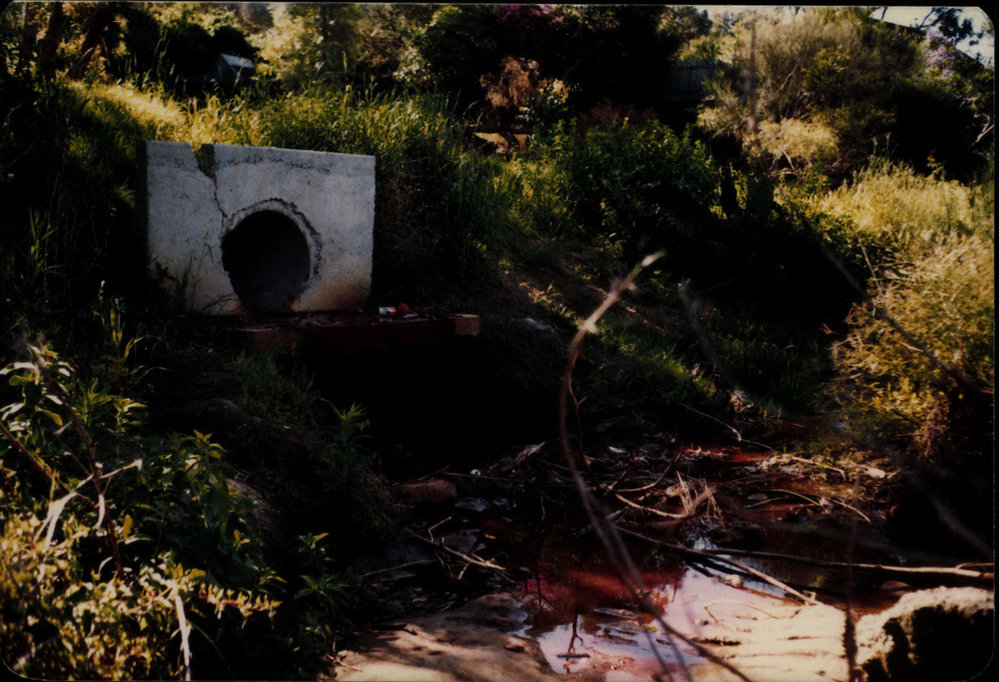 Wandella Reserve drainage, Allambie 