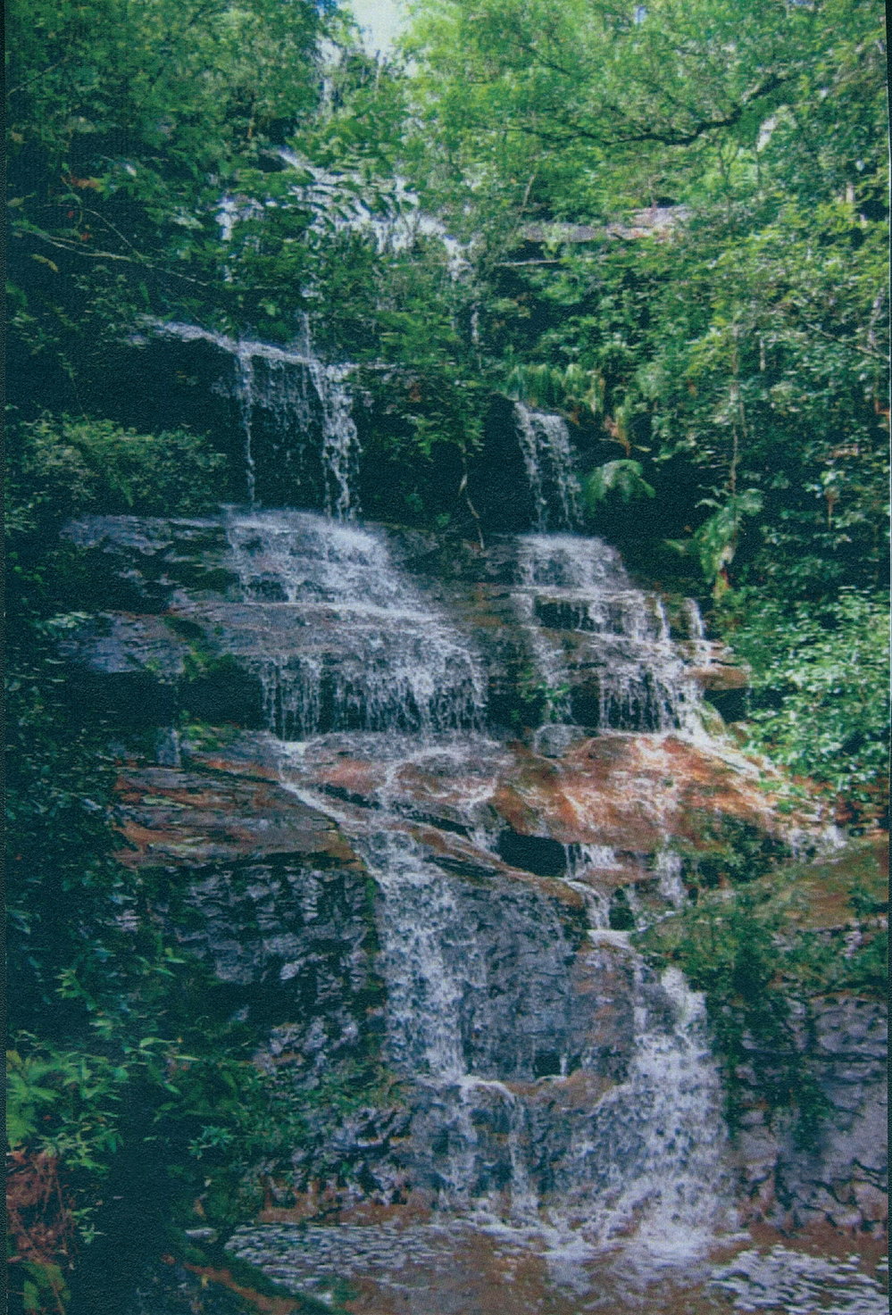 Crystal Cascades, Ku-ring-gai Chase.