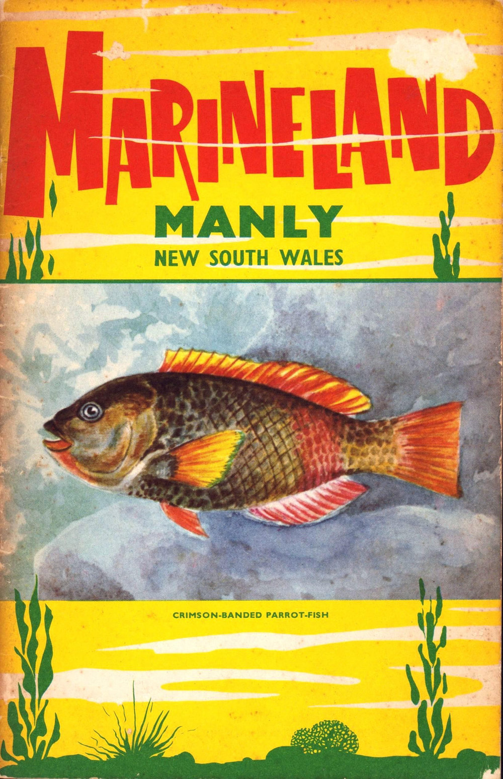 Manly Marineland Oceanarium Ocean World