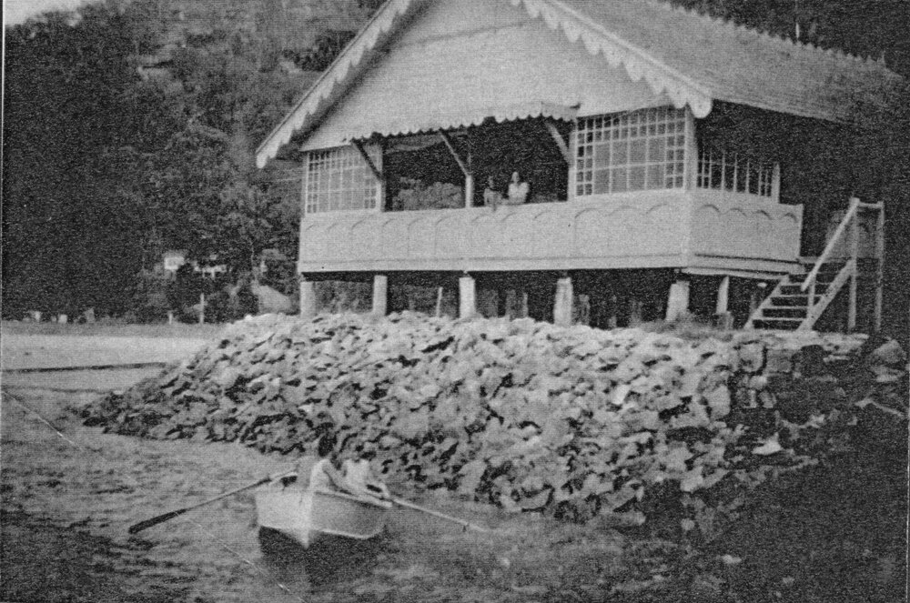 Cottage at the north end of Currawong Beach, 1962