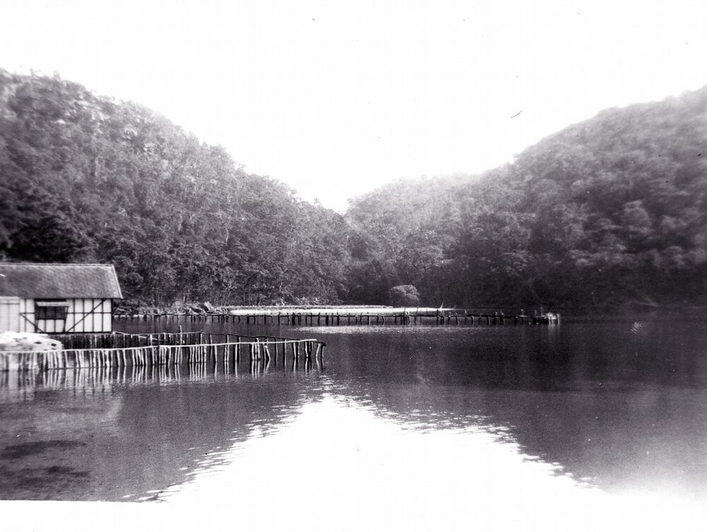 View looking west into Morning Bay, Pittwater