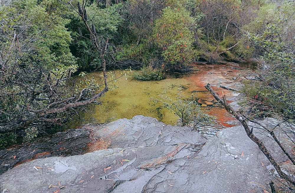 Rock pool, Elvina Bay, 2017