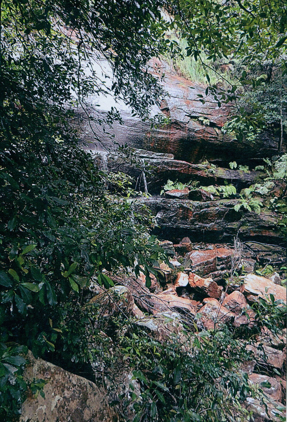 Waterfall, Elvina Bay, 2017