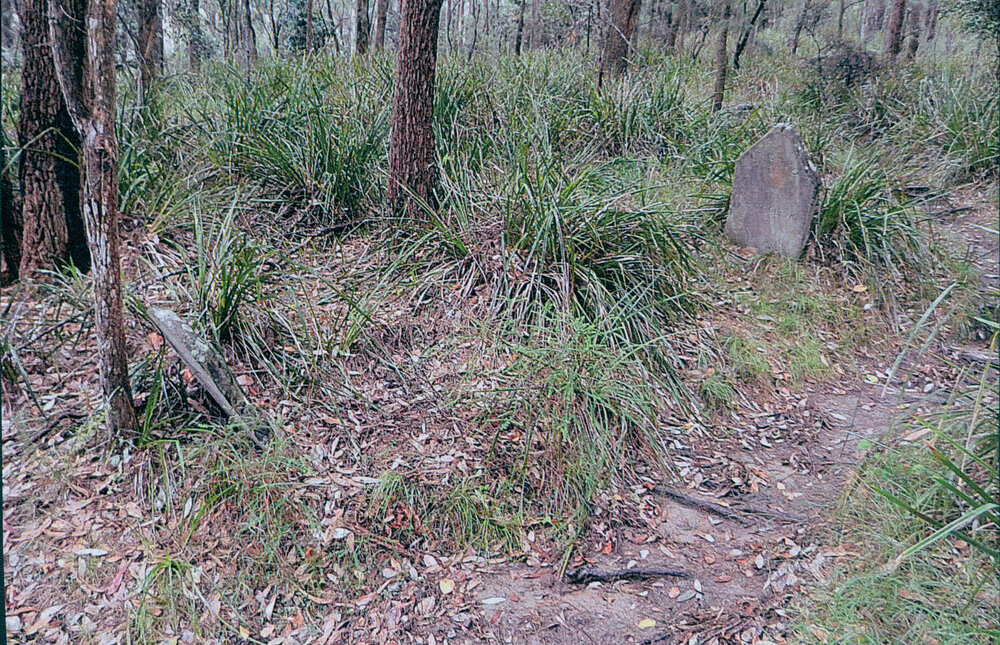 Gravestones, Elvina Bay, 2017