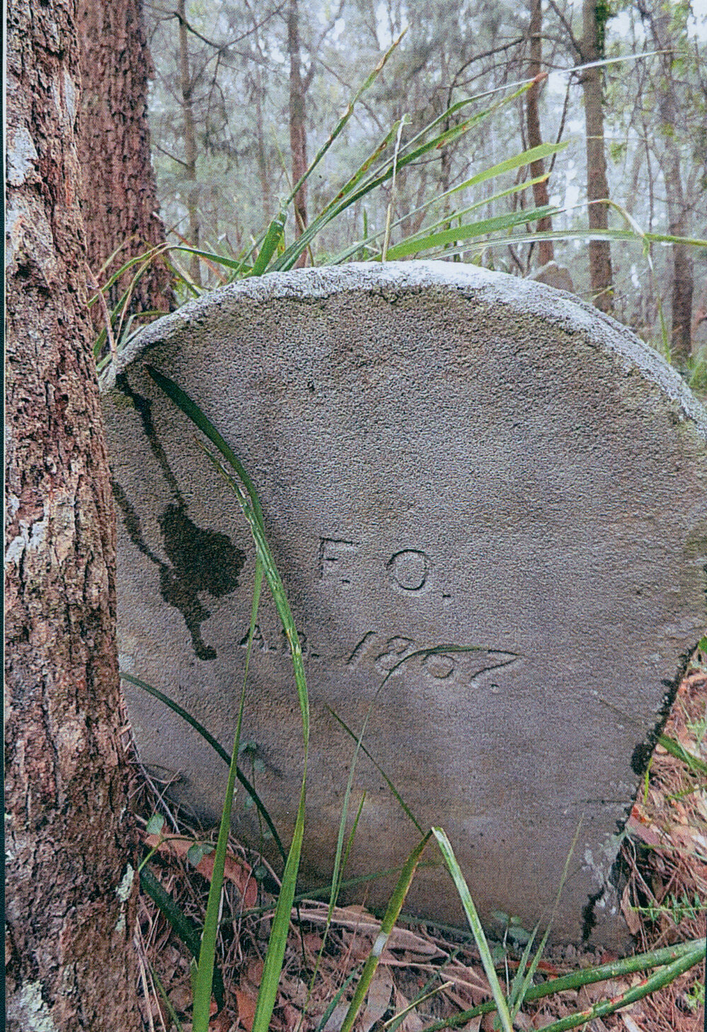 Gravestone of Frederick Oliver, Lovett Bay