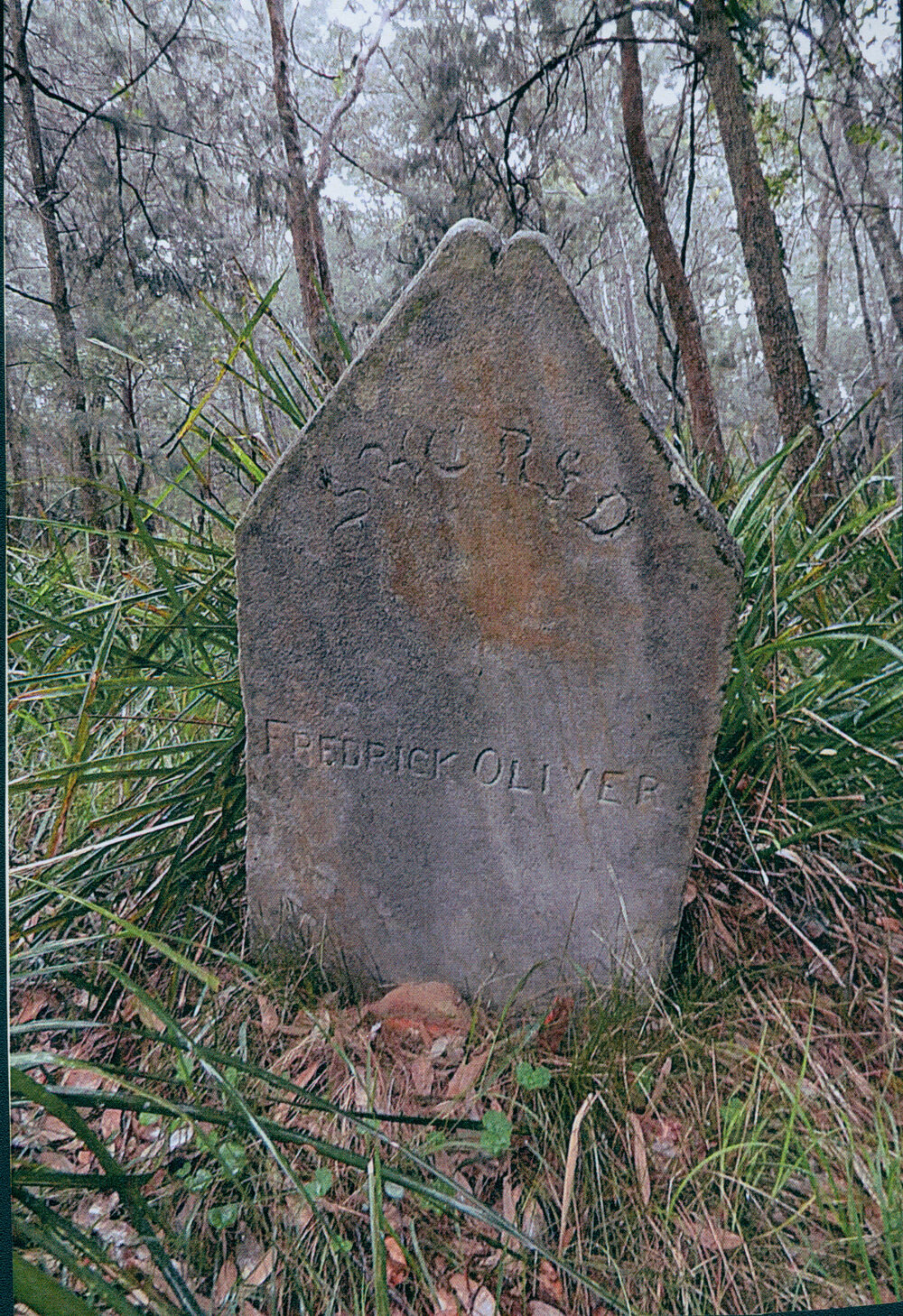 Gravestone of Frederick Oliver, Elvina Bay, 2017