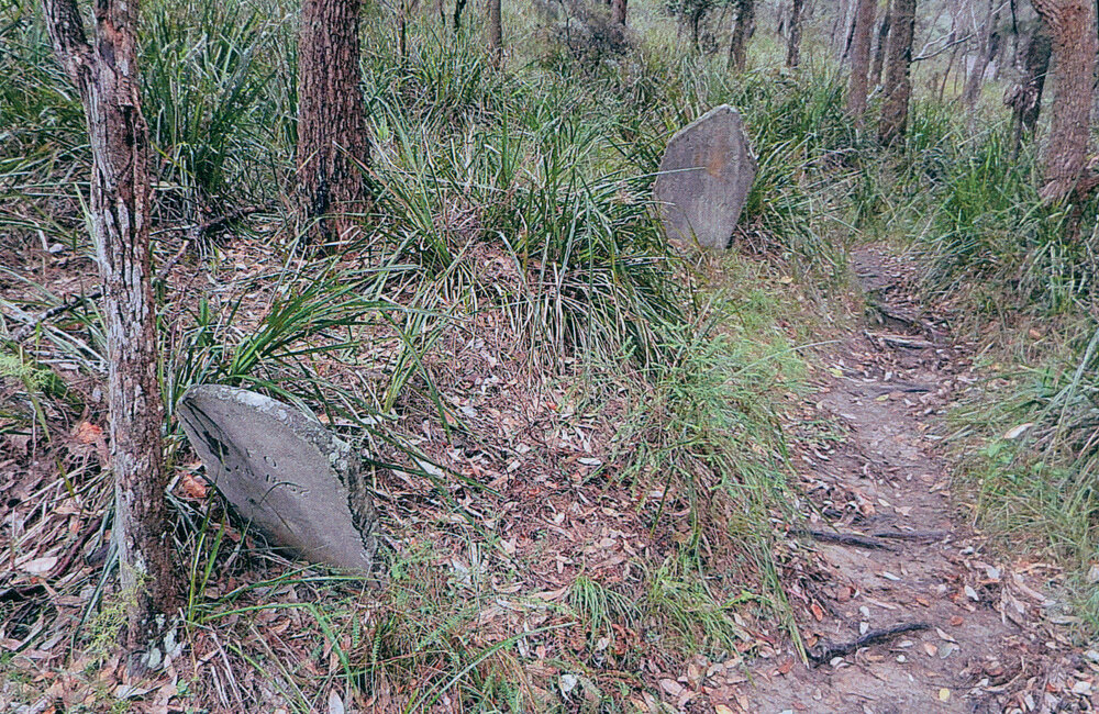 Gravestones, Elvina Bay, 2017