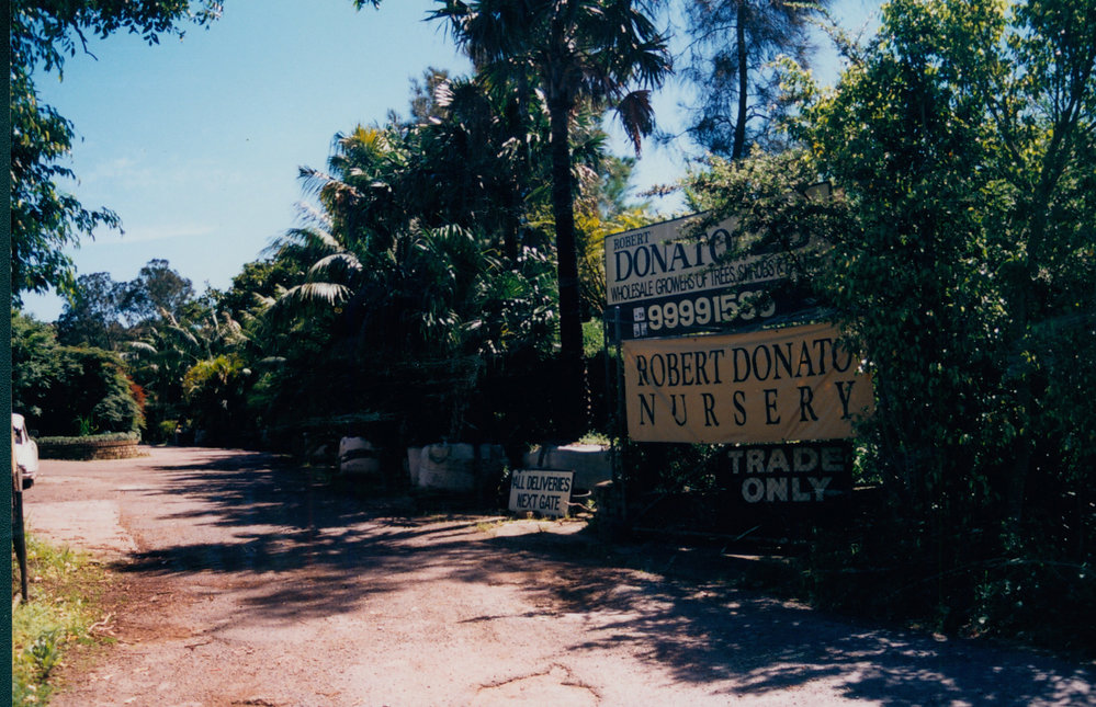Robert Donato Nursey, Warriewood, 1995