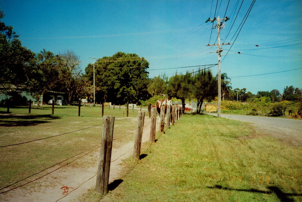Boondah Road facing south, Warriewood, 2009 | Northern Beaches Council
