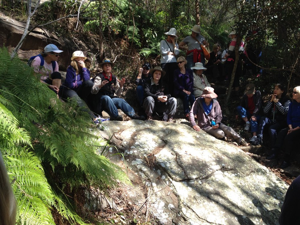 Angophora Reserve Walk at Avalon with Karen Smith from the Aboriginal Heritage Office. 