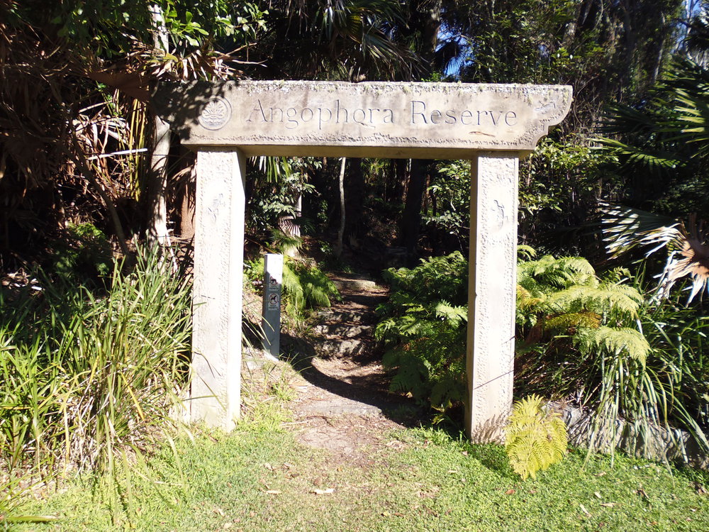 Entrance to Angophora Reserve, Avalon. 