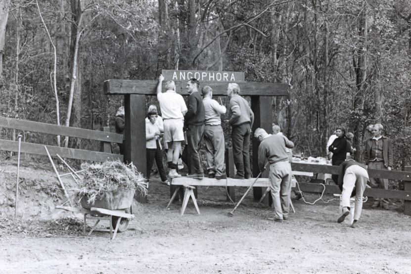 Entrance to Angophora Reserve, Avalon 