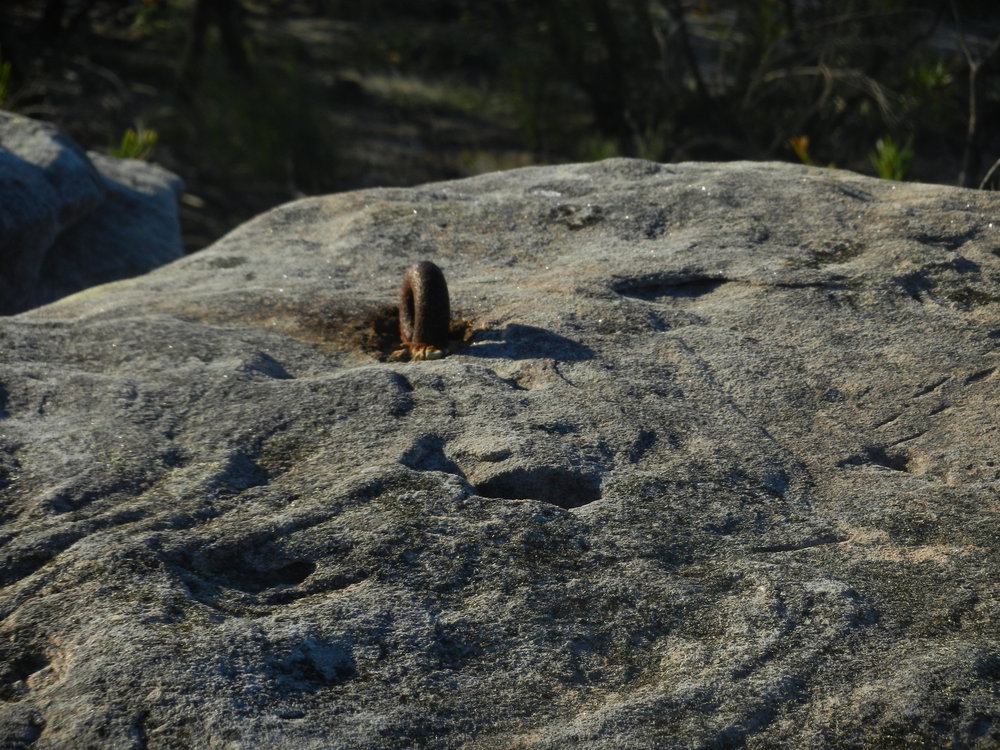 Rock at Bangalley Head, Avalon WWII site.