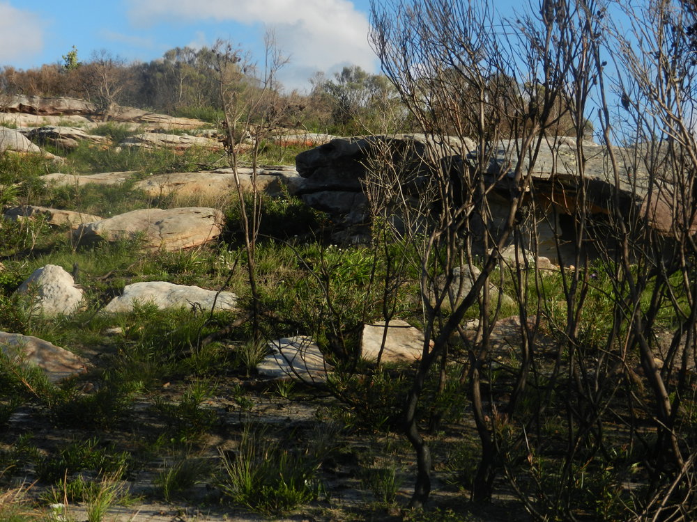 Bangalley Head, WWII site, Avalon
