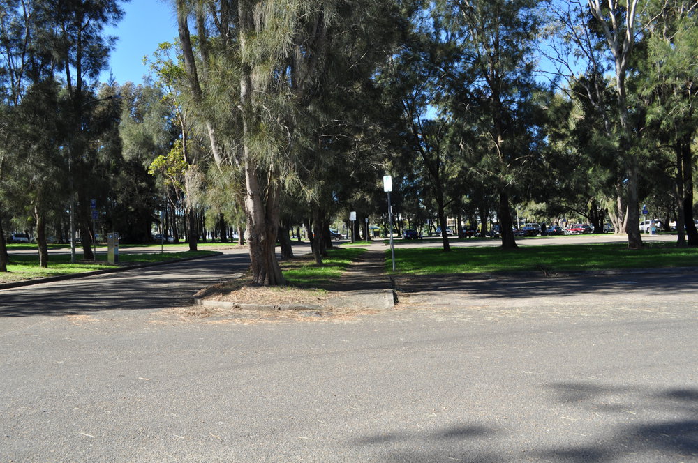Bayview dog park car park