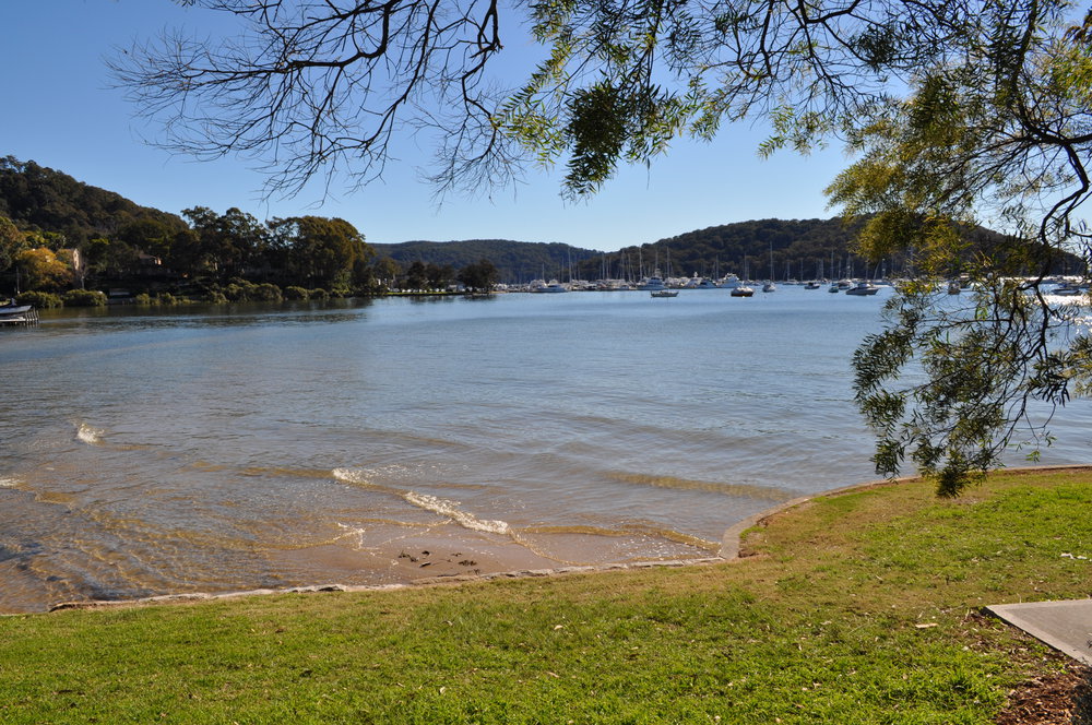 Riddle Reserve, Bayview. 