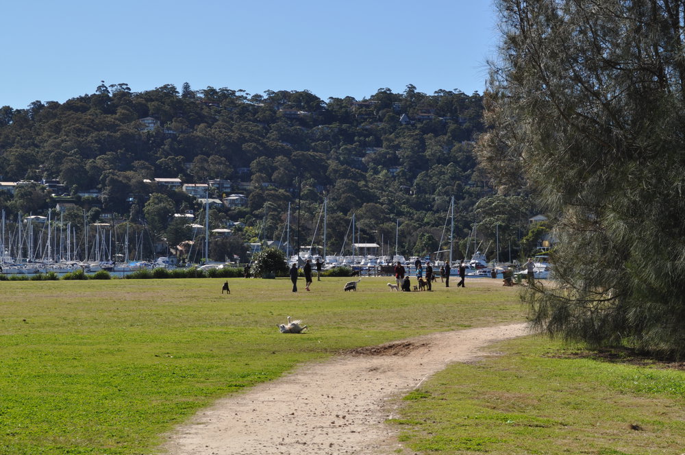 Bayview dog park