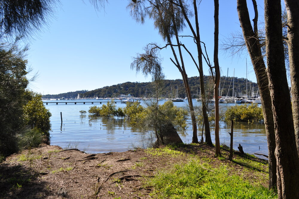 Pittwater seen from bushland next to Pittwater Rd
