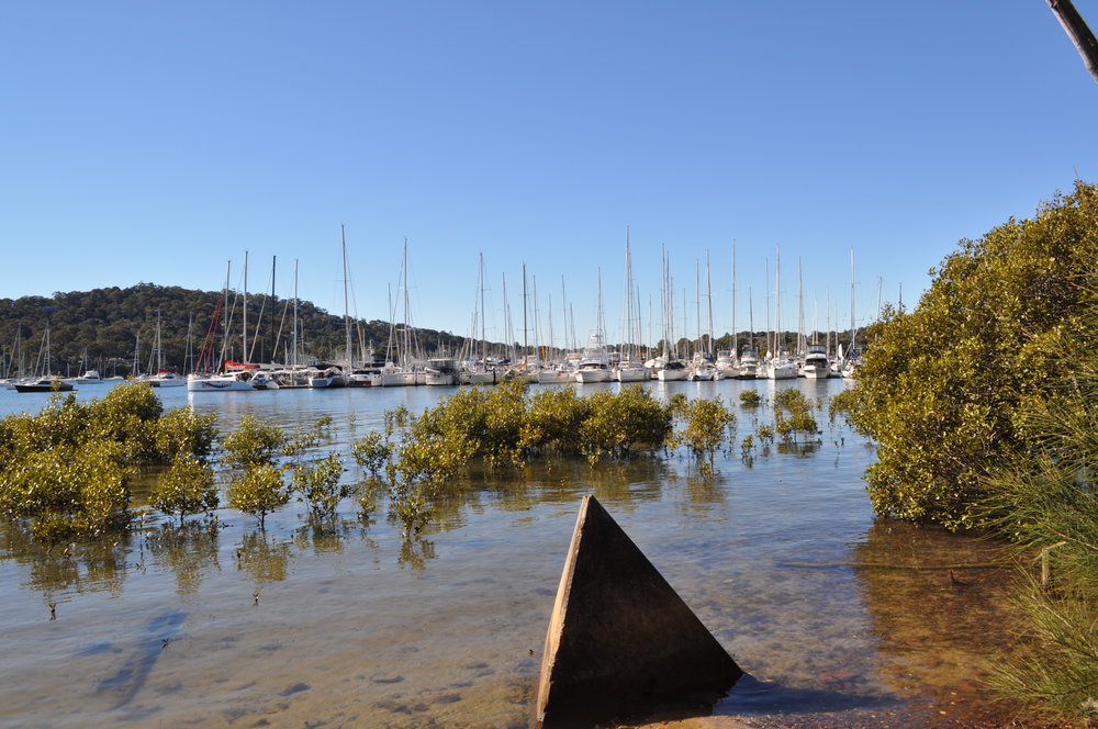 Pittwater, view of Marina